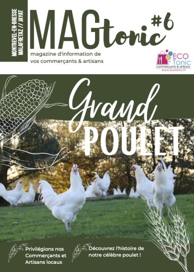 Mag'tonic 6 - Nov. 2022